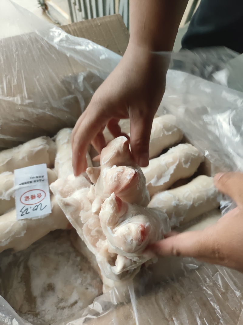 肥猪猪蹄猪手一级带劲猪蹄干净无毛颜色白净可长期供应