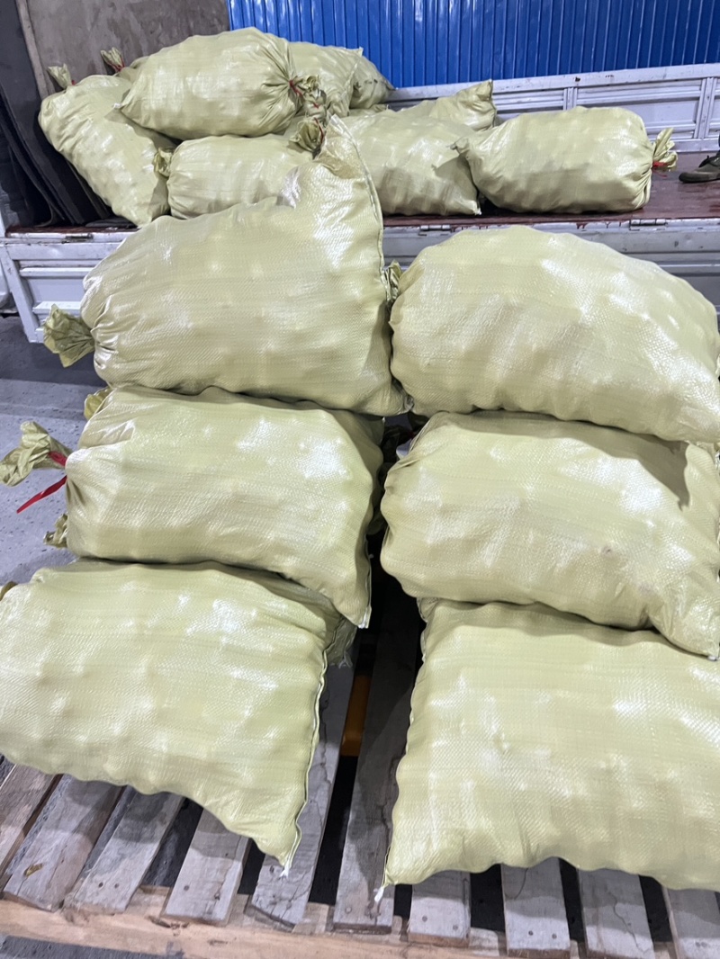 永兴冰糖橙