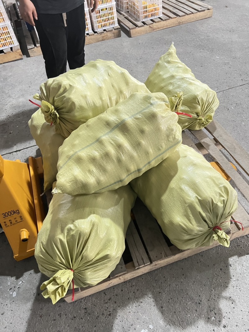 永兴冰糖橙