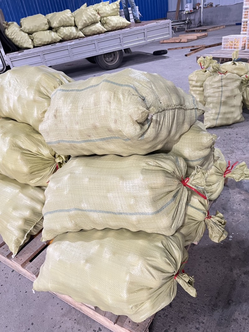 永兴冰糖橙