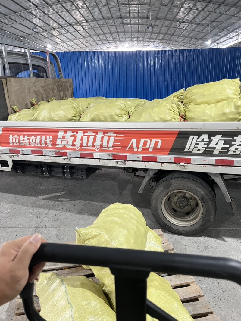 永兴冰糖橙