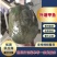精品外塘甲鱼诚信经营量大从优欢迎咨询