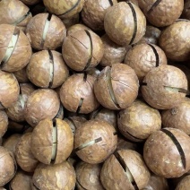 新货薄壳，云南果奶香夏威夷果，皮薄果仁香脆货源充足