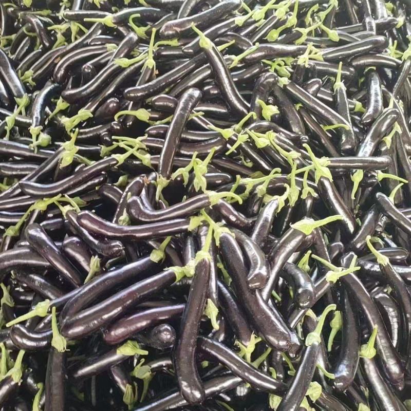 茄子
