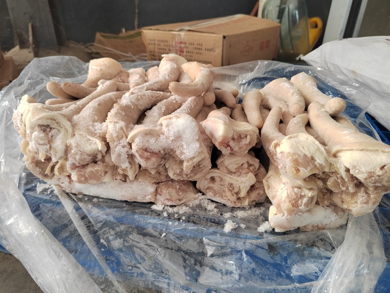 精修猪尾中尾大量有货价格美丽欢迎来电