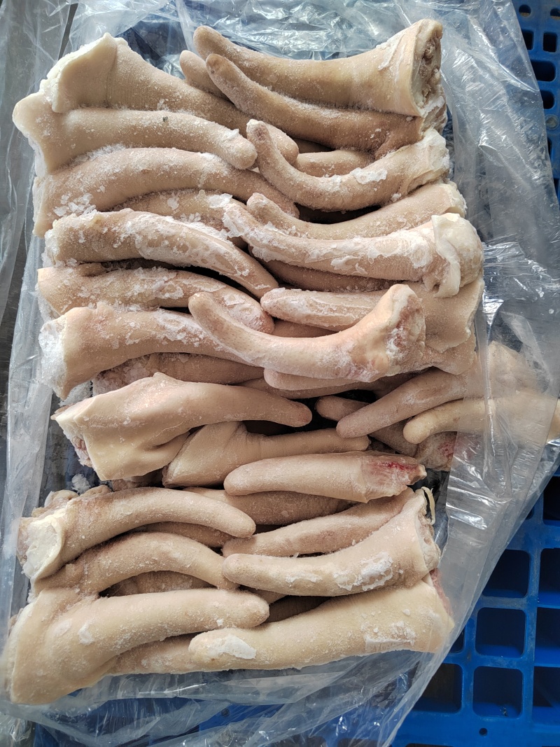 精修猪尾中尾大量有货价格美丽欢迎来电