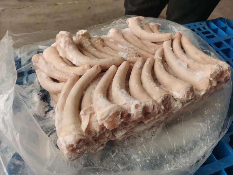 精修猪尾中尾大量有货价格美丽欢迎来电
