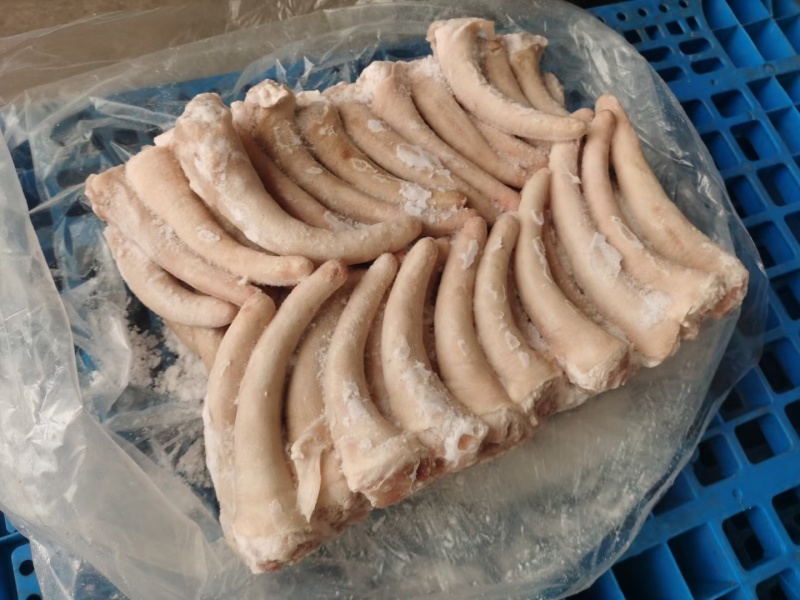 精修猪尾中尾大量有货价格美丽欢迎来电