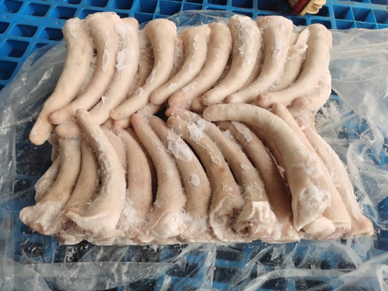 精修猪尾中尾大量有货价格美丽欢迎来电