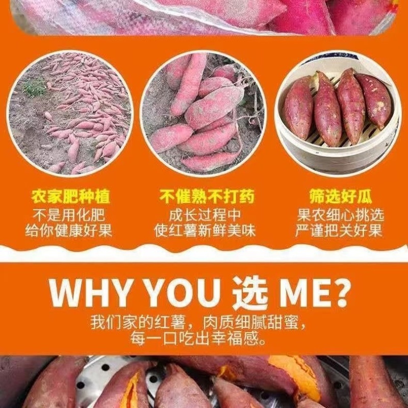 新鲜现挖黄心龙九蜜薯烤红薯地瓜软糯香甜蜜薯新鲜采摘番薯