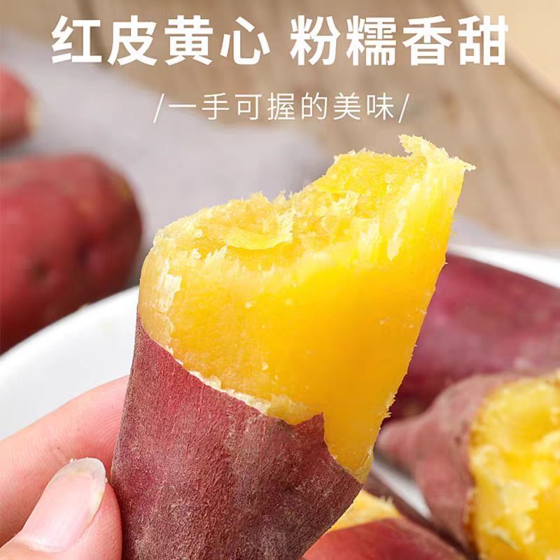 现挖龙九蜜薯红薯新鲜番薯农家现发烤地瓜自种黄心当季