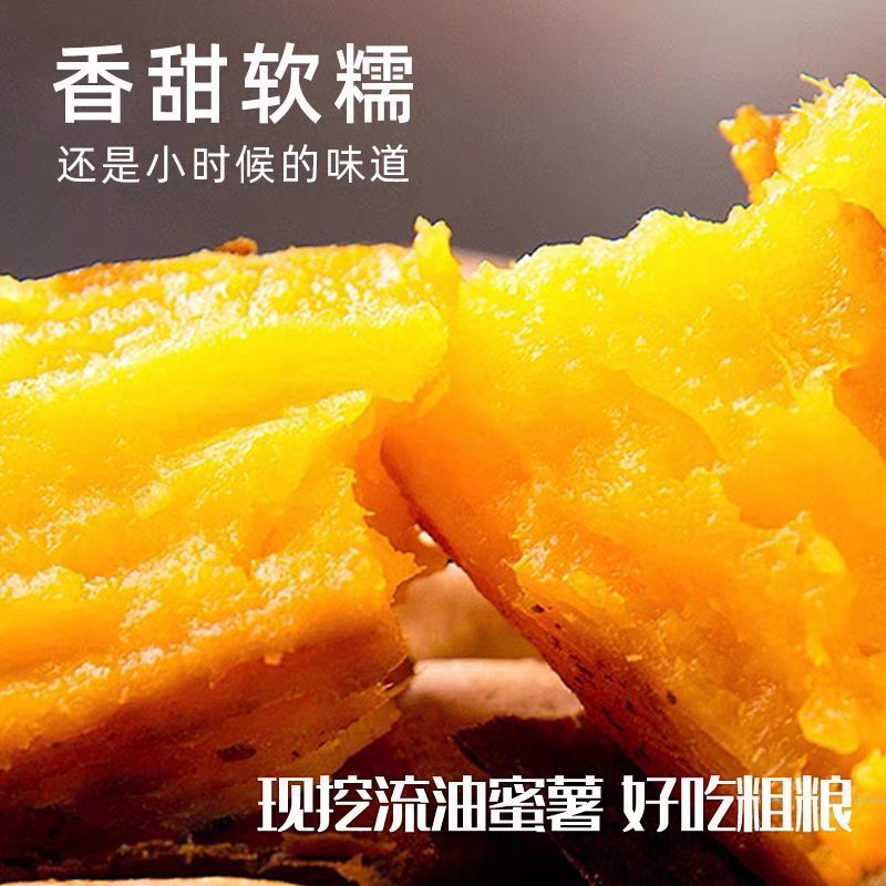 现挖龙九蜜薯红薯新鲜番薯农家现发烤地瓜自种黄心当季
