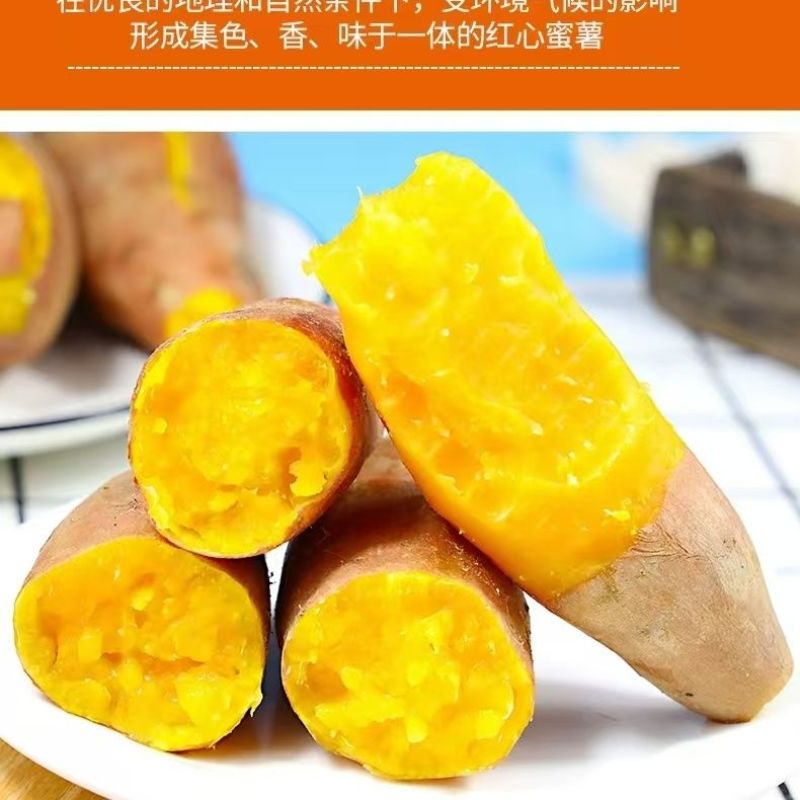 现挖龙九蜜薯红薯新鲜番薯农家现发烤地瓜自种黄心当季