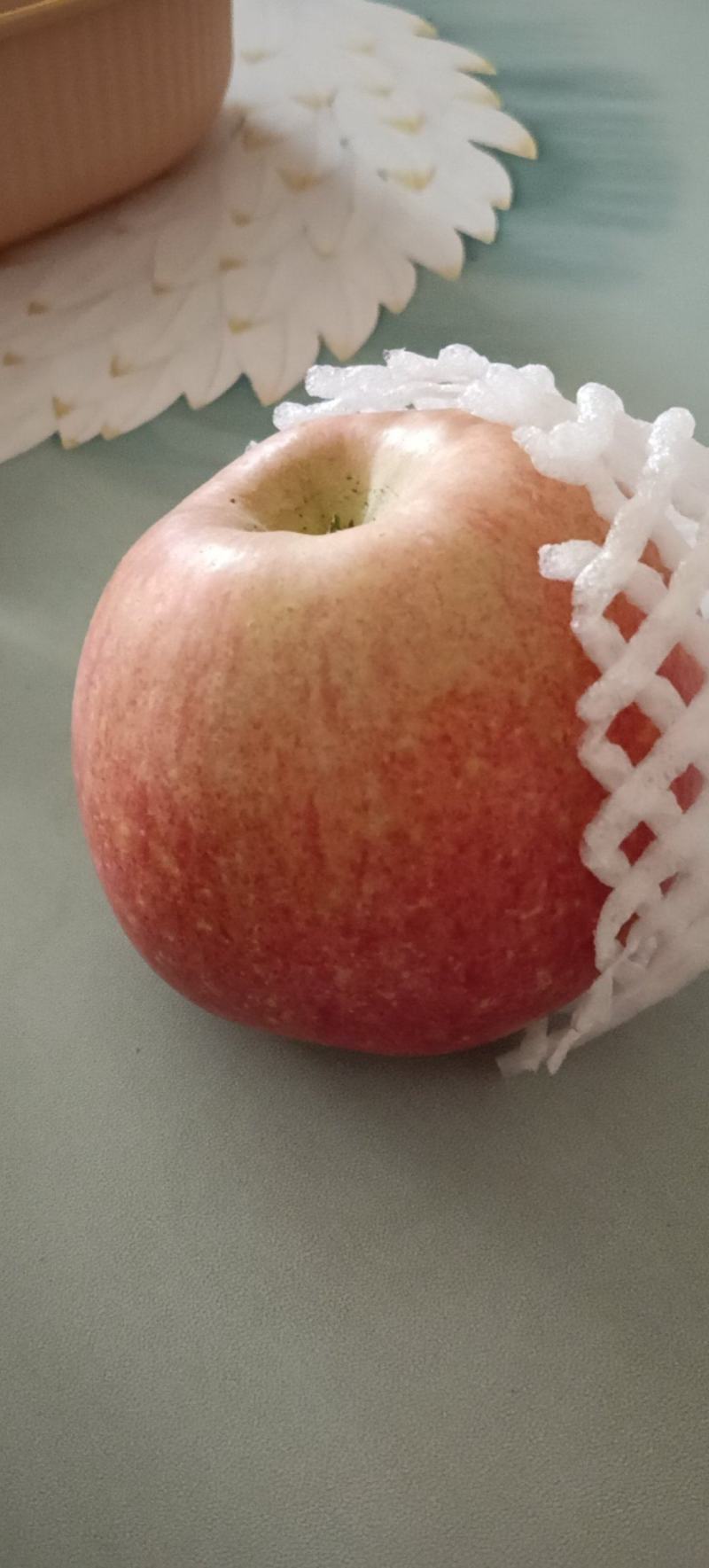 甘肃省会宁县黄土高原的冰糖心红富士苹果