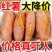 一件代发黄心龙九红薯现挖沙地蜜薯板栗番薯糖心地瓜新鲜山芋