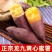 一件代发黄心龙九红薯现挖沙地蜜薯板栗番薯糖心地瓜新鲜山芋