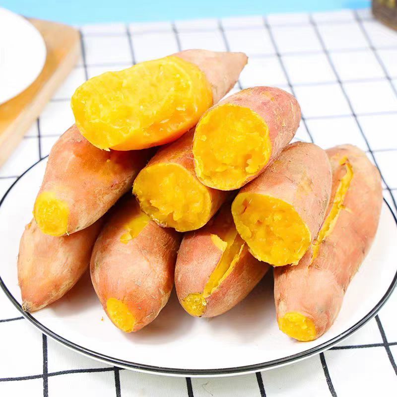 一件代发黄心龙九红薯现挖沙地蜜薯板栗番薯糖心地瓜新鲜山芋