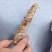 原浆虾仁