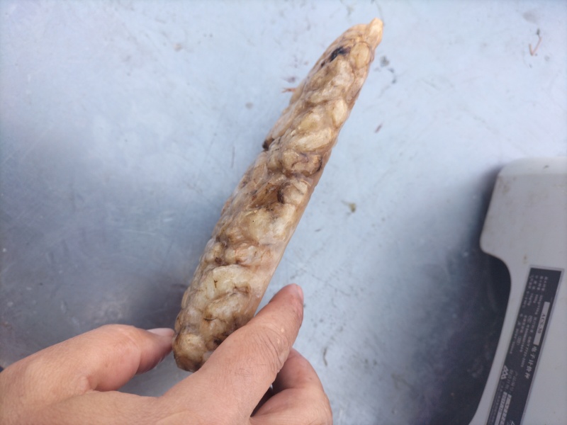 原浆虾仁