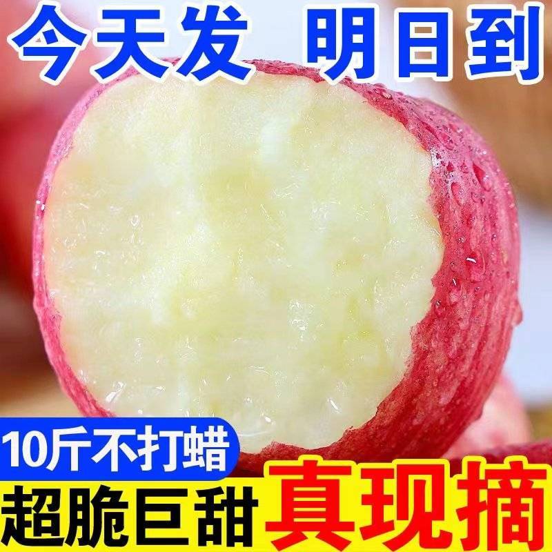 红富士苹果，一件代发，快递代理，十斤装十块，量大可谈