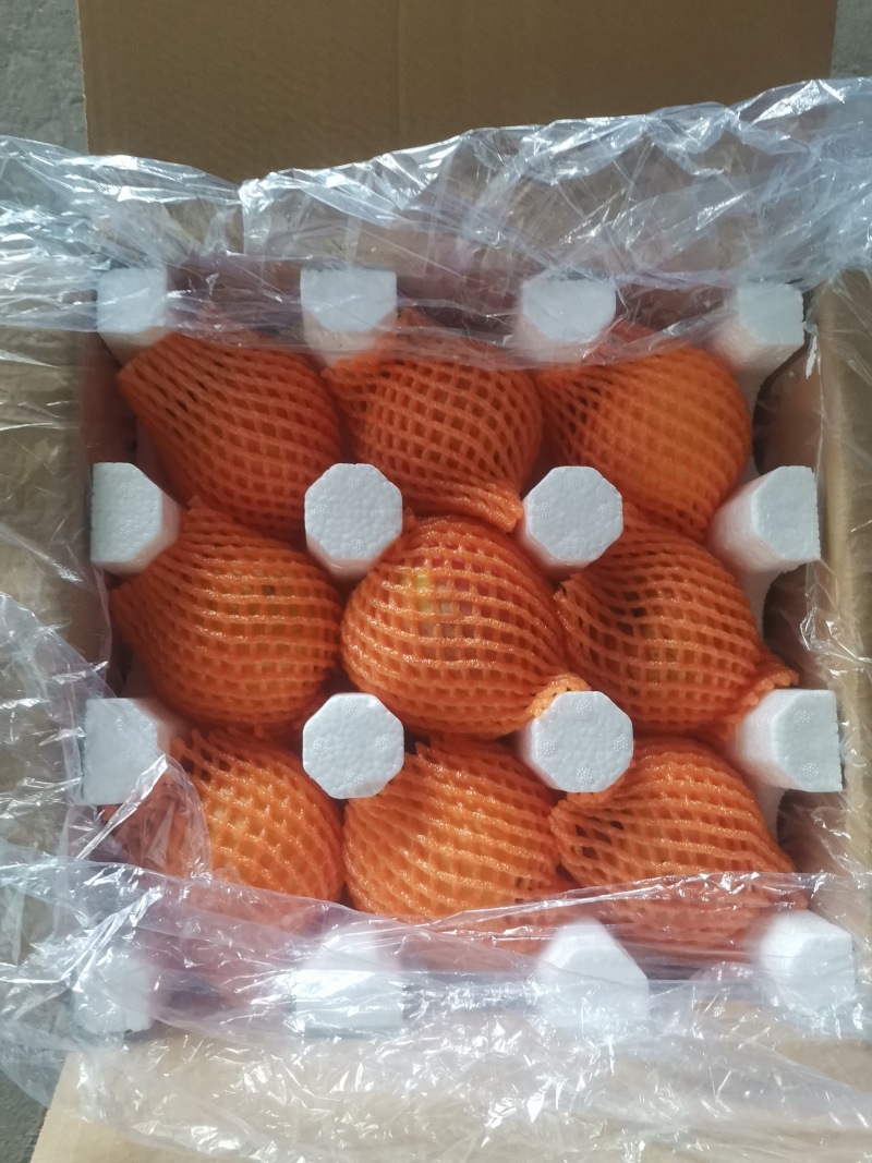红富士苹果，一件代发，快递代理，十斤装十块，量大可谈