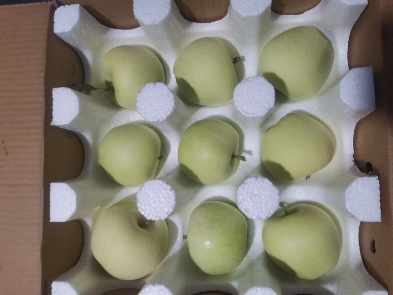 红富士苹果，一件代发，快递代理，十斤装十块，量大可谈