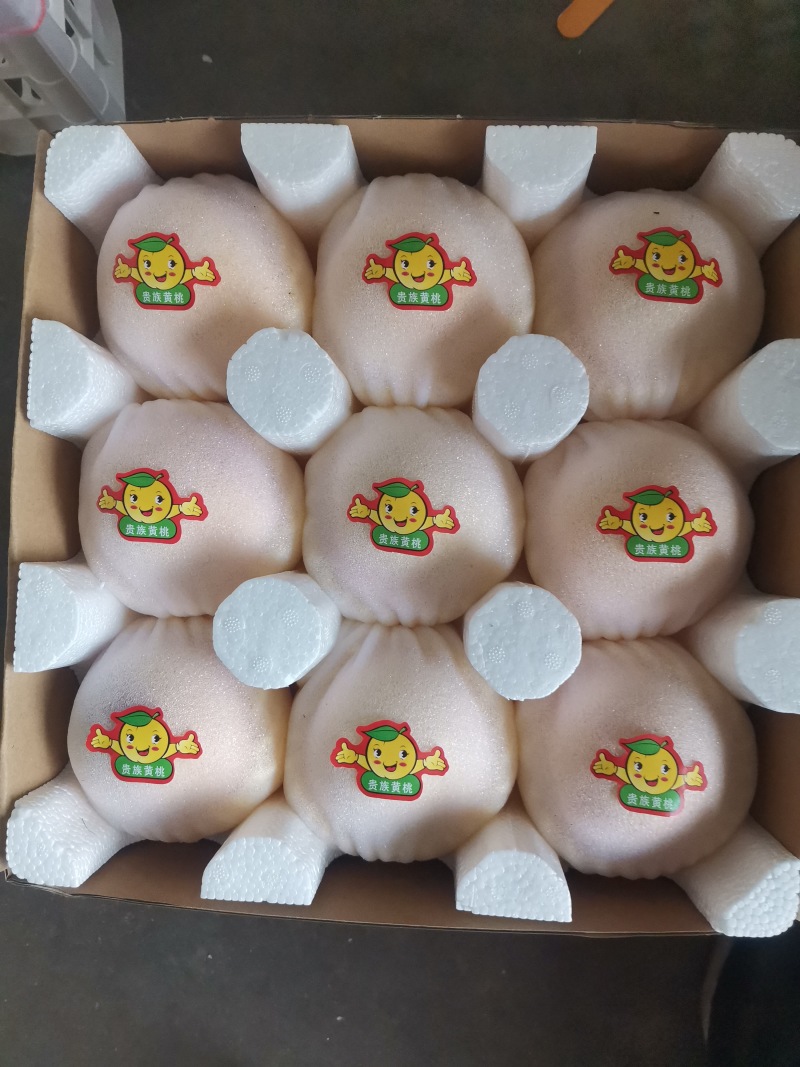 红富士苹果，一件代发，快递代理，十斤装十块，量大可谈