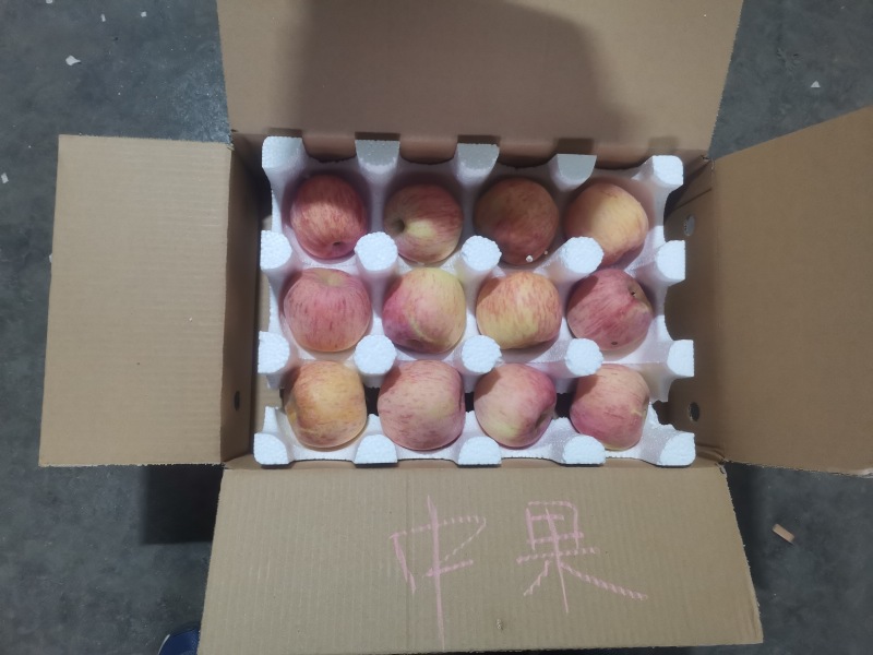 红富士苹果，一件代发，快递代理，十斤装十块，量大可谈