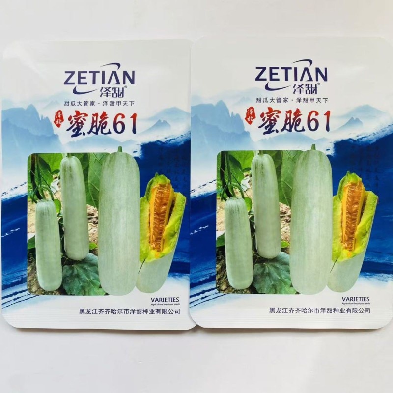 泽甜蜜脆61甜瓜种子红瓤绿肉甜脆高糖羊角蜜甜瓜种子水果香