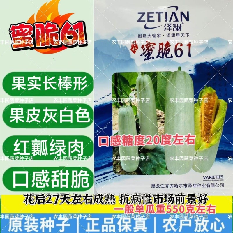 泽甜蜜脆61甜瓜种子红瓤绿肉甜脆高糖羊角蜜甜瓜种子水果香