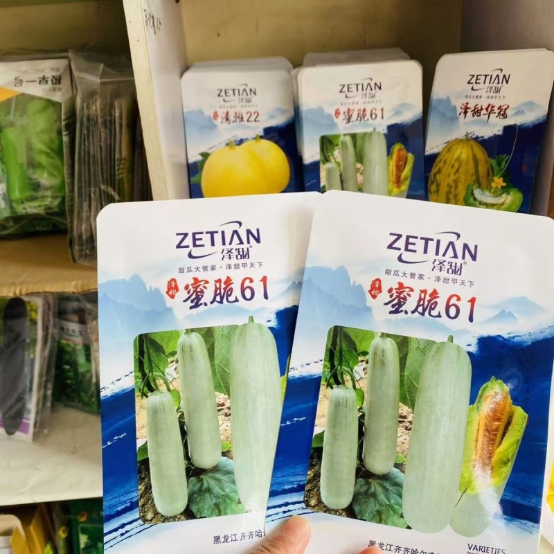 泽甜蜜脆61甜瓜种子红瓤绿肉甜脆高糖羊角蜜甜瓜种子水果香