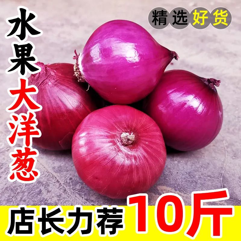 【刚刚降价】新鲜现挖洋葱紫红皮水果洋葱火锅蔬菜生吃整箱批