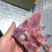 满肉猪龙骨，现货，可自提。可快递