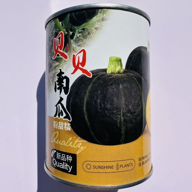 秦蔬贝贝南瓜种子粉甜糯贝贝南瓜种子果肉橘黄色肉厚香甜小南