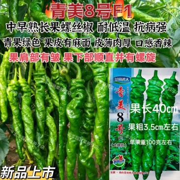 青美8号螺丝椒种子香辣大螺丝大果薄皮辣椒种子长果麻面螺丝
