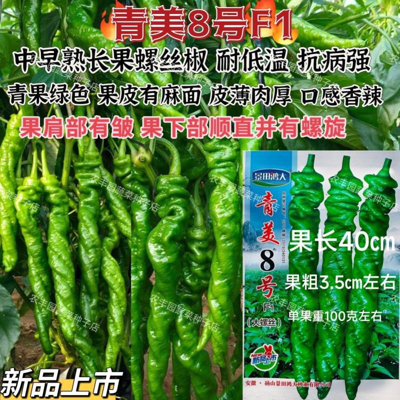 青美8号螺丝椒种子香辣大螺丝大果薄皮辣椒种子长果麻面螺丝