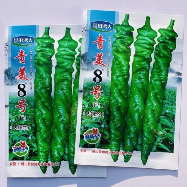 青美8号螺丝椒种子香辣大螺丝大果薄皮辣椒种子长果麻面螺丝
