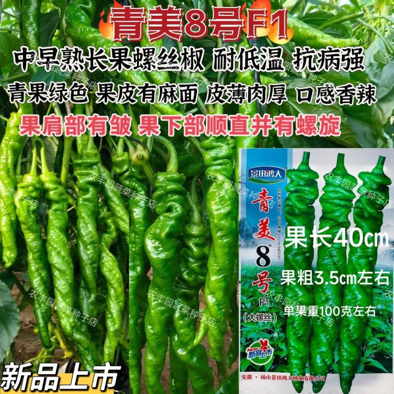 青美8号螺丝椒种子香辣大螺丝大果薄皮辣椒种子长果麻面螺丝