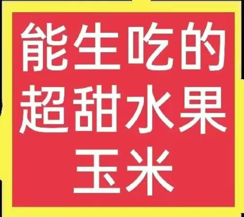 能生吃的水果玉米，正宗云南瑞丽，颗粒饱满，香甜多汁