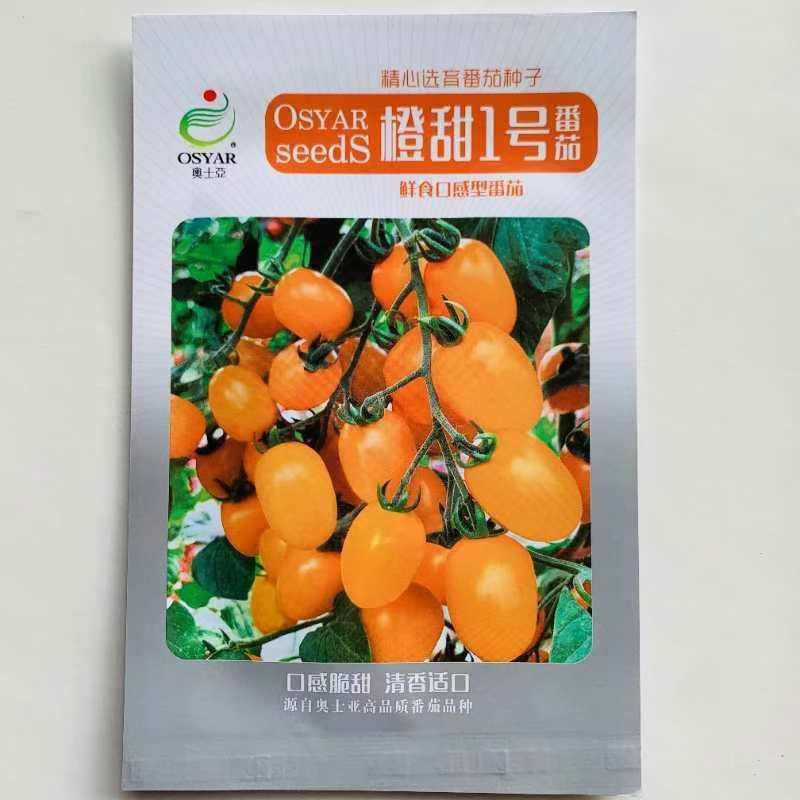 橙甜1号小番茄种子橙黄色樱桃番茄圣女果种子脆甜糖度高水果