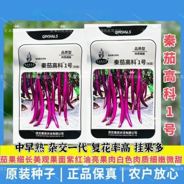 秦茄高科1号茄子种子中早熟白肉细嫩微甜紫红线茄种子果紫红