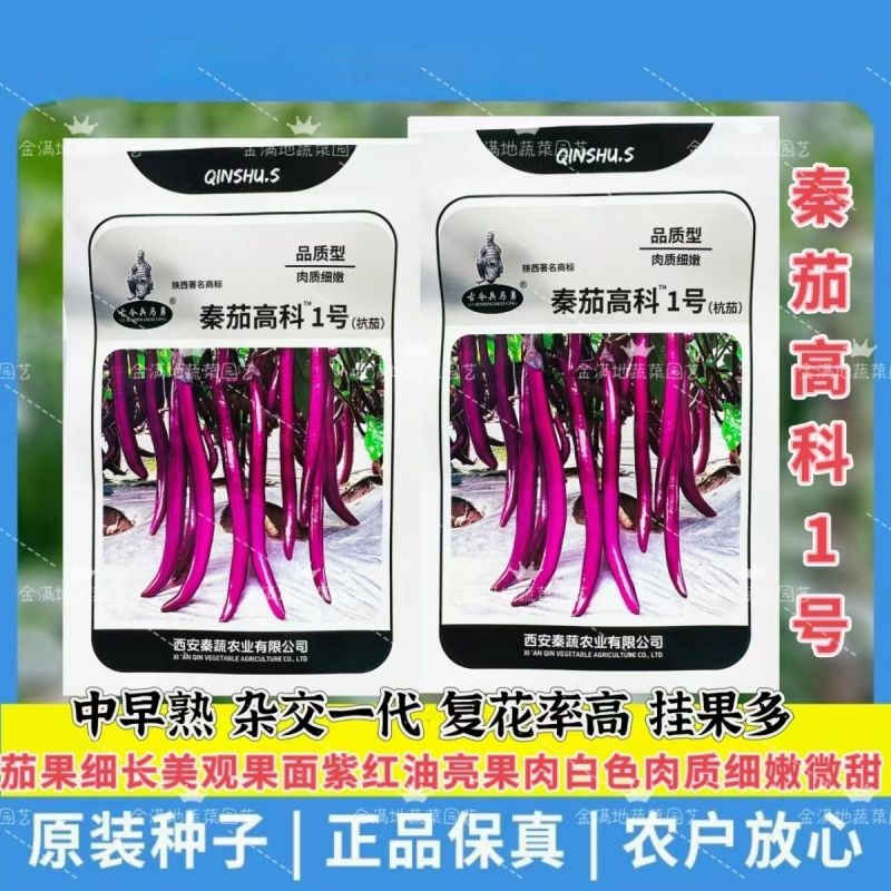 秦茄高科1号茄子种子中早熟白肉细嫩微甜紫红线茄种子果紫红