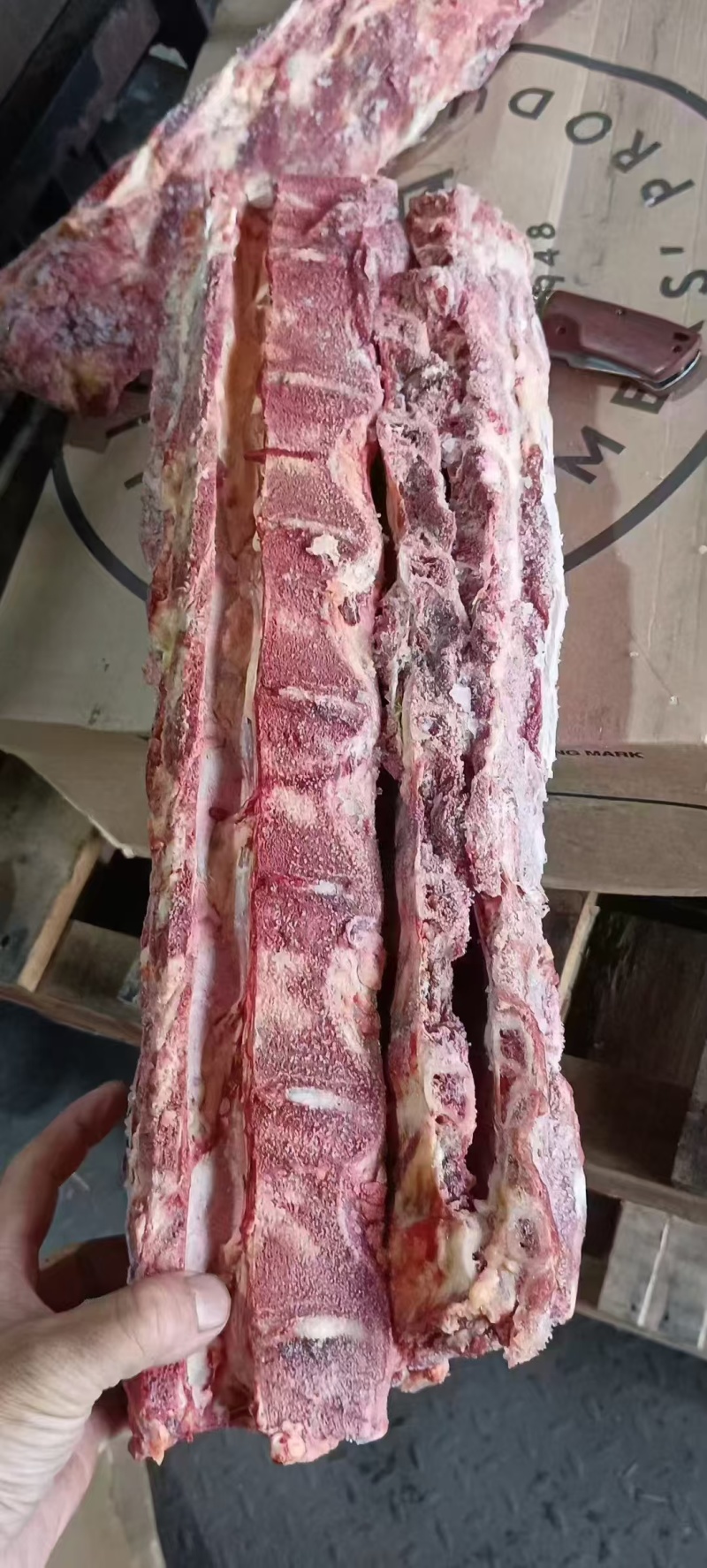 18厂牛脊骨
