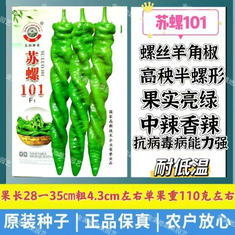 苏润正宗苏螺羊角椒螺丝椒种子春季秋季耐低温中辣高秧薄皮辣