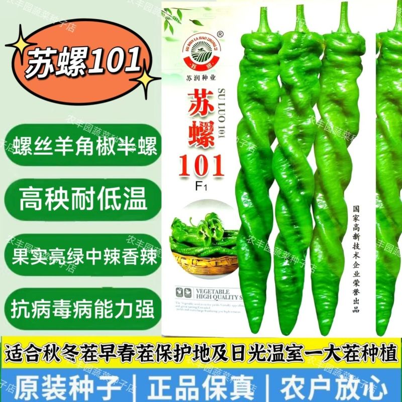 苏润正宗苏螺羊角椒螺丝椒种子春季秋季耐低温中辣高秧薄皮辣