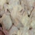 乳鸽，乳鸽肉，品质保证，产地直发，服务周到，价格优惠