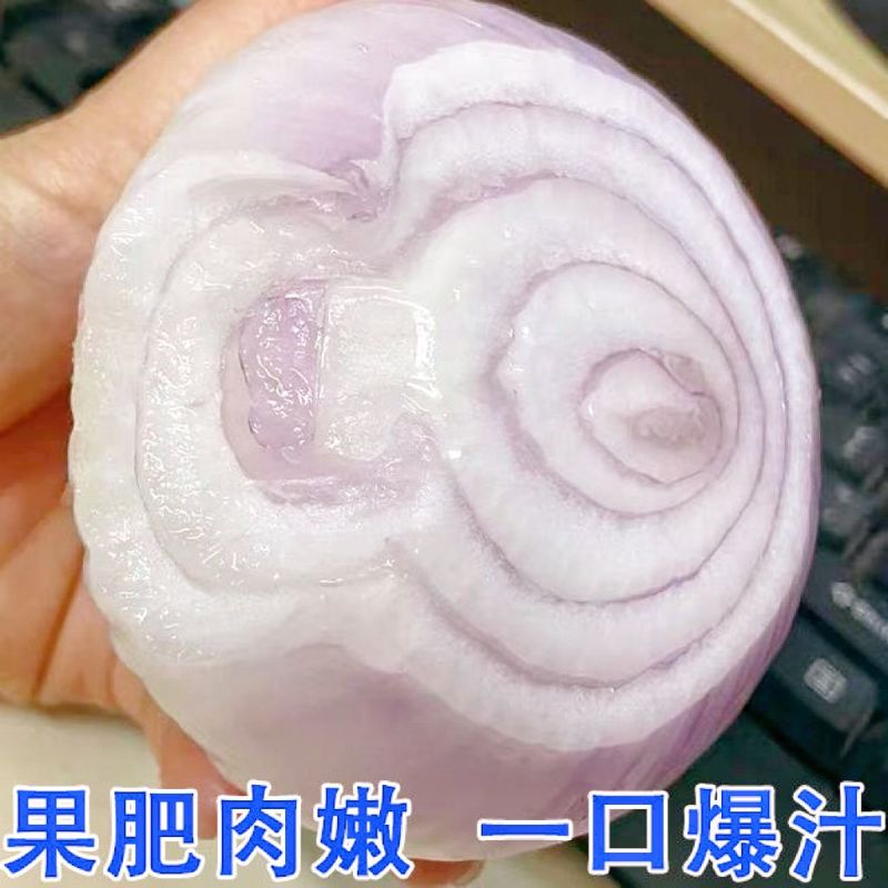 2024山东水果洋葱新鲜红皮紫皮洋葱头圆葱甜瓜批发价甜脆不辣