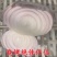 2024山东水果洋葱新鲜红皮紫皮洋葱头圆葱甜瓜批发价甜脆不辣