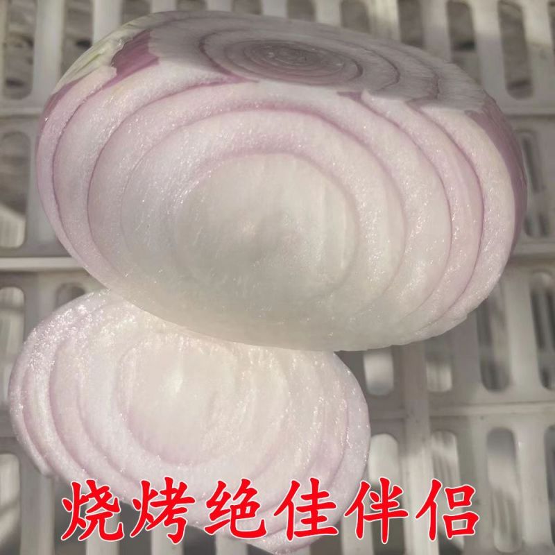 2024山东水果洋葱新鲜红皮紫皮洋葱头圆葱甜瓜批发价甜脆不辣
