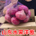 2024山东水果洋葱新鲜红皮紫皮洋葱头圆葱甜瓜批发价甜脆不辣